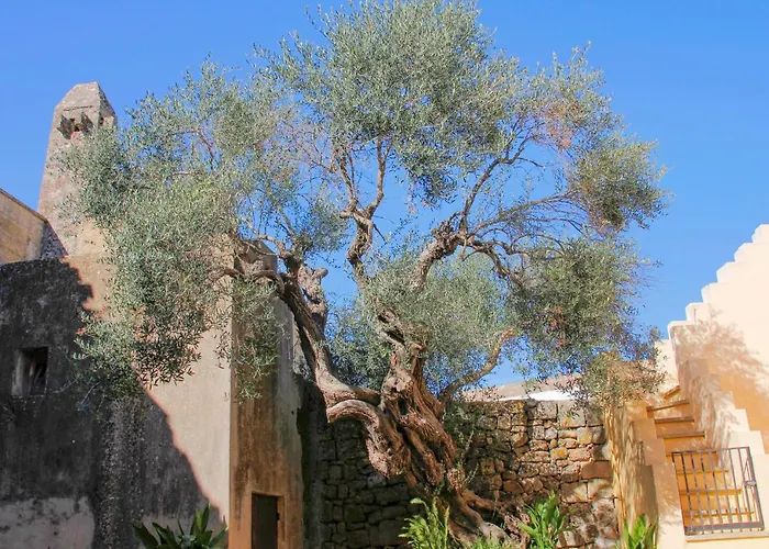 Apartment Complesso By Terrasalento